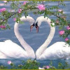 Picture of art202101656 A. THEEKSHANA SEWWANDI KARUNATHILAKE